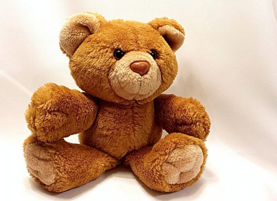bear, teddy, toy-678607.jpg