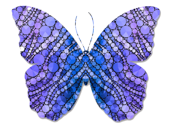 butterfly, animal print, pattern-1073709.jpg